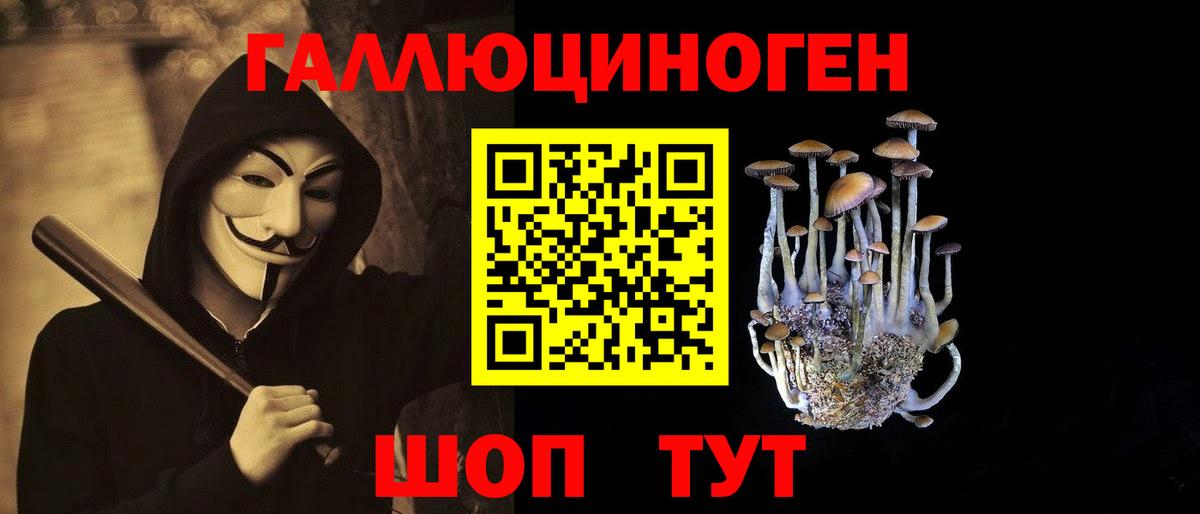 Галлюциногенные грибы Psilocybine cubensis  Псилоцибиновые грибы Magic Shrooms  Родники  Вход с VPN 